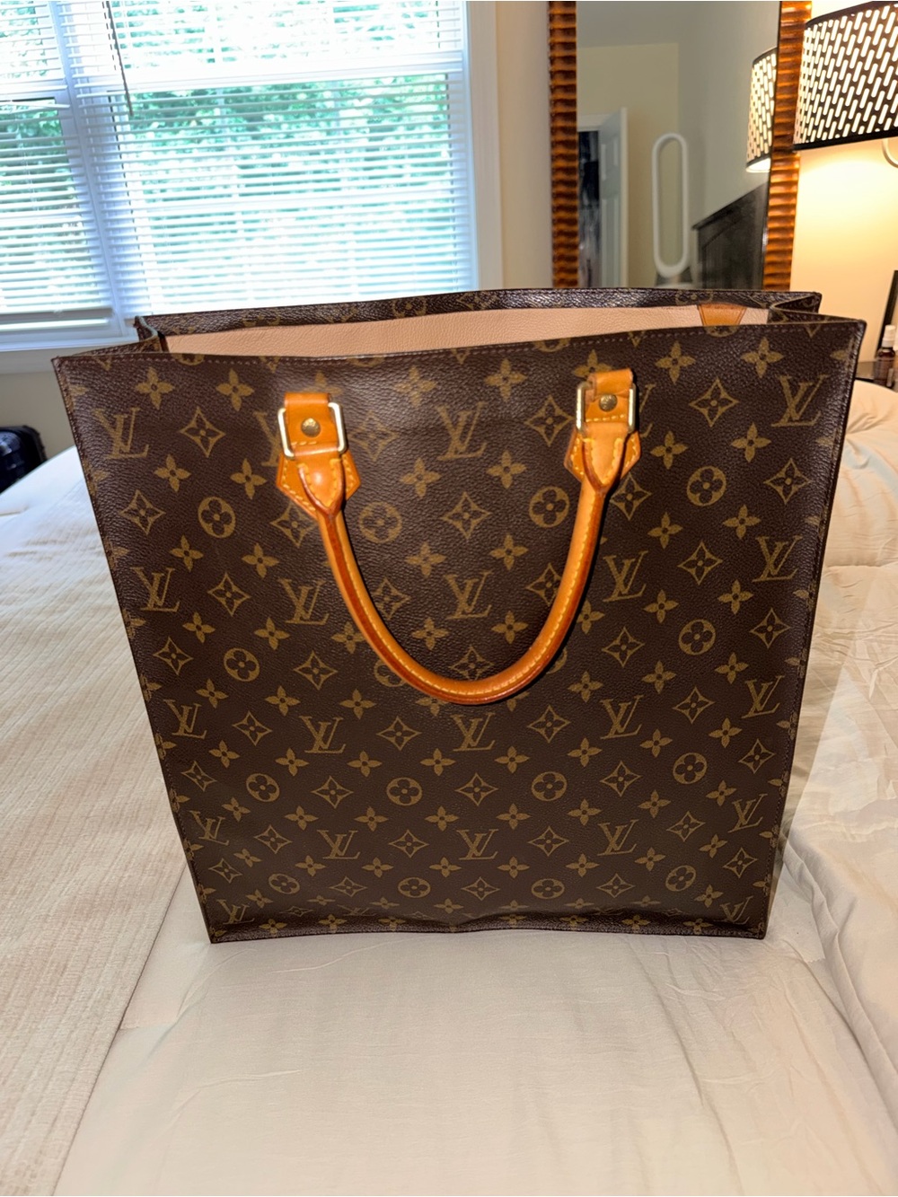 Louis Vuitton Monogram Sac Plat Tote - Picture 3 of 12